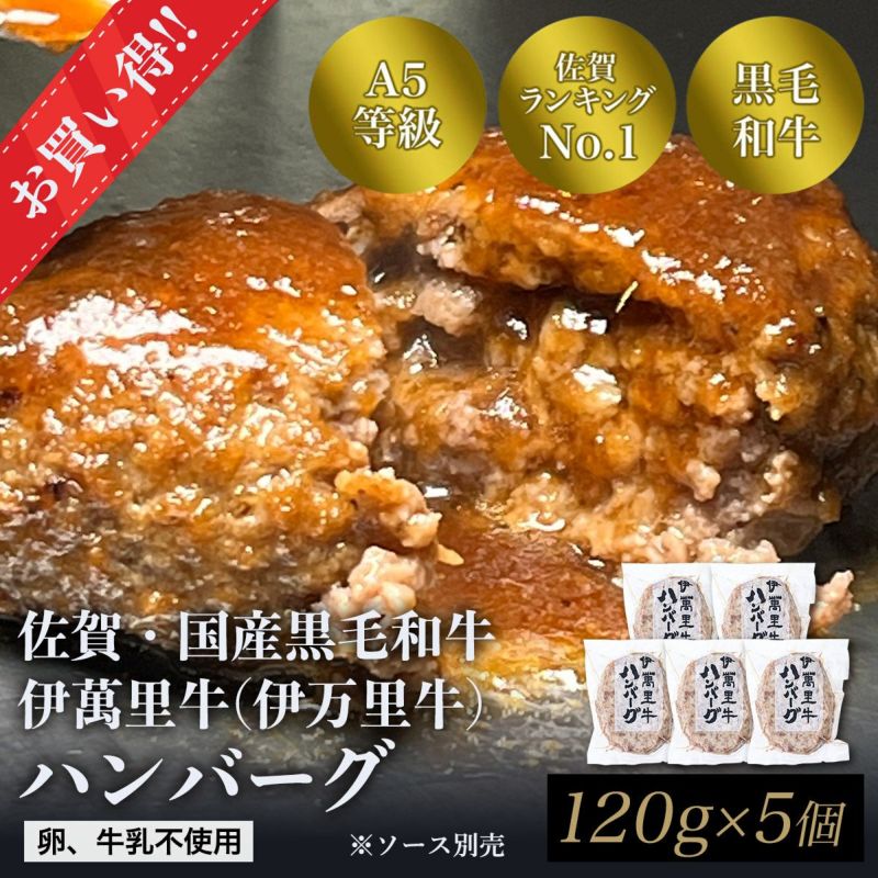 伊萬里牛(伊万里牛)ハンバーグ　120ｇ×5個