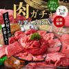 肉の日(29日)限定販売 ランダムに人気商品を詰め合わせたお楽しみBOX！【送料無料】肉ガチャ お楽しみBOX